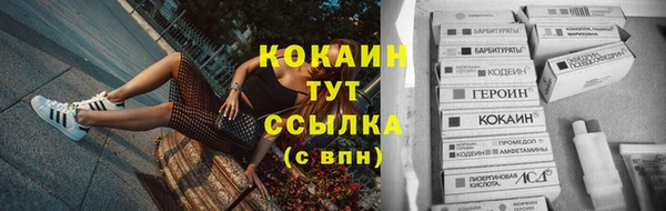 ешки Аркадак
