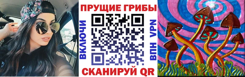 Псилоцибиновые грибы прущие грибы  закладки  Стародуб 