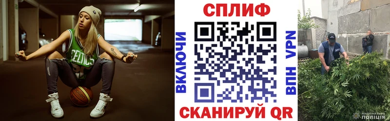 Шишки марихуана гибрид  Стародуб 